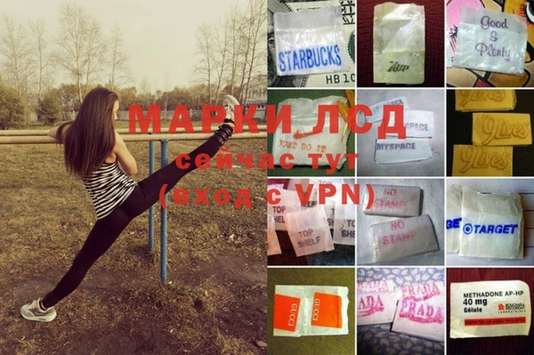 хмурый Рославль