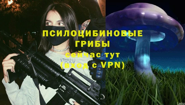 a pvp Абдулино