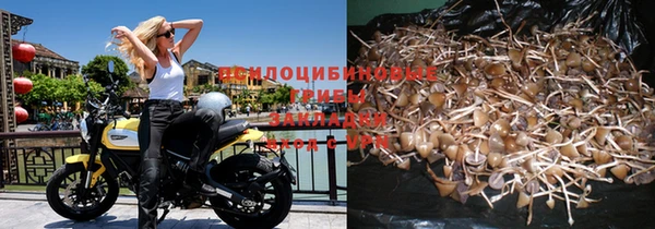 трава Пролетарск