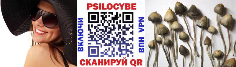 Псилоцибиновые грибы прущие грибы Суздаль
